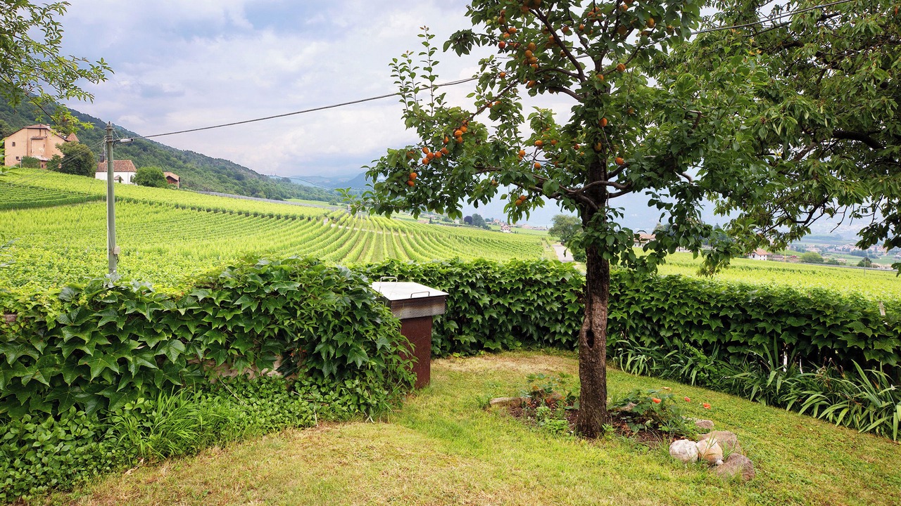 Photo of Outdoor in Berg/Monte