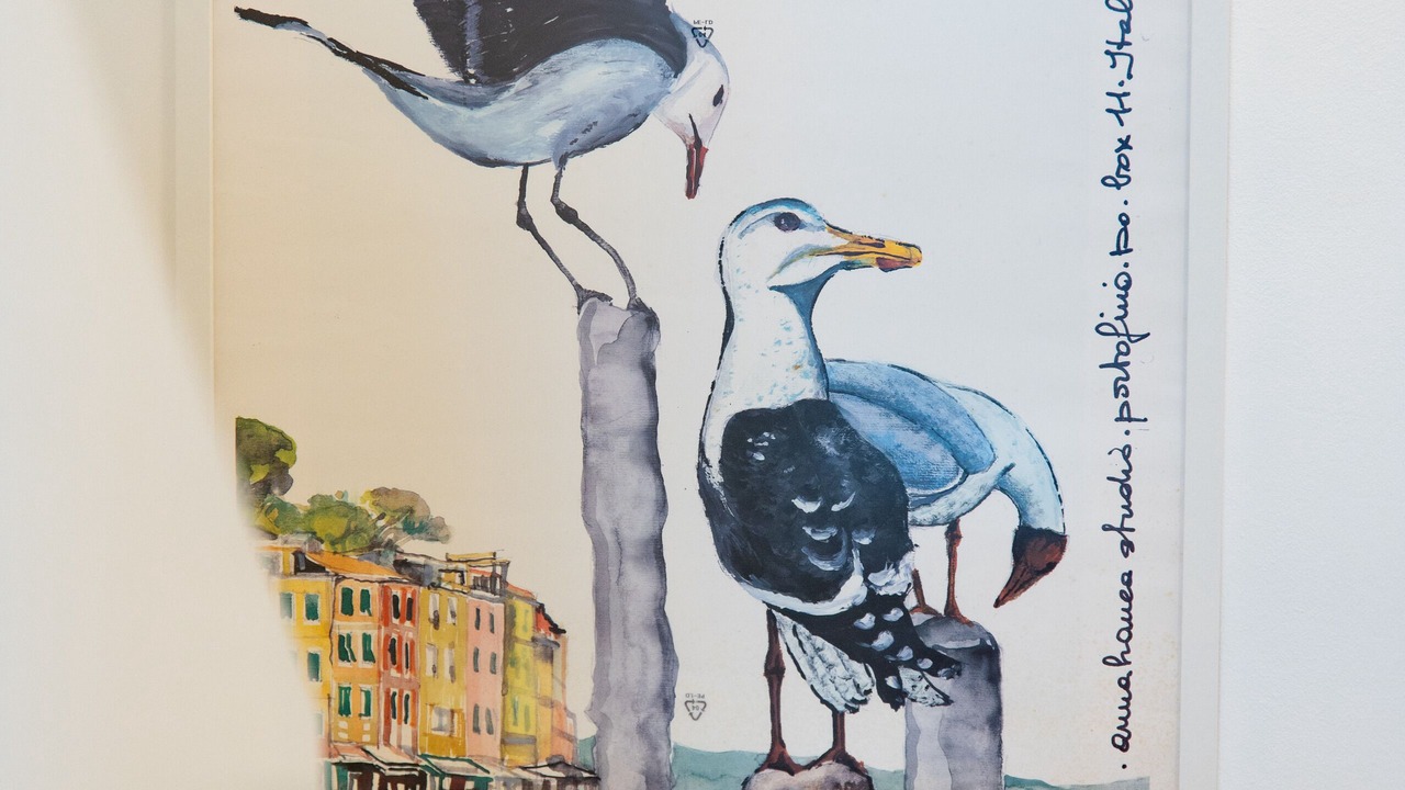 Photo of Others in Chiavari
