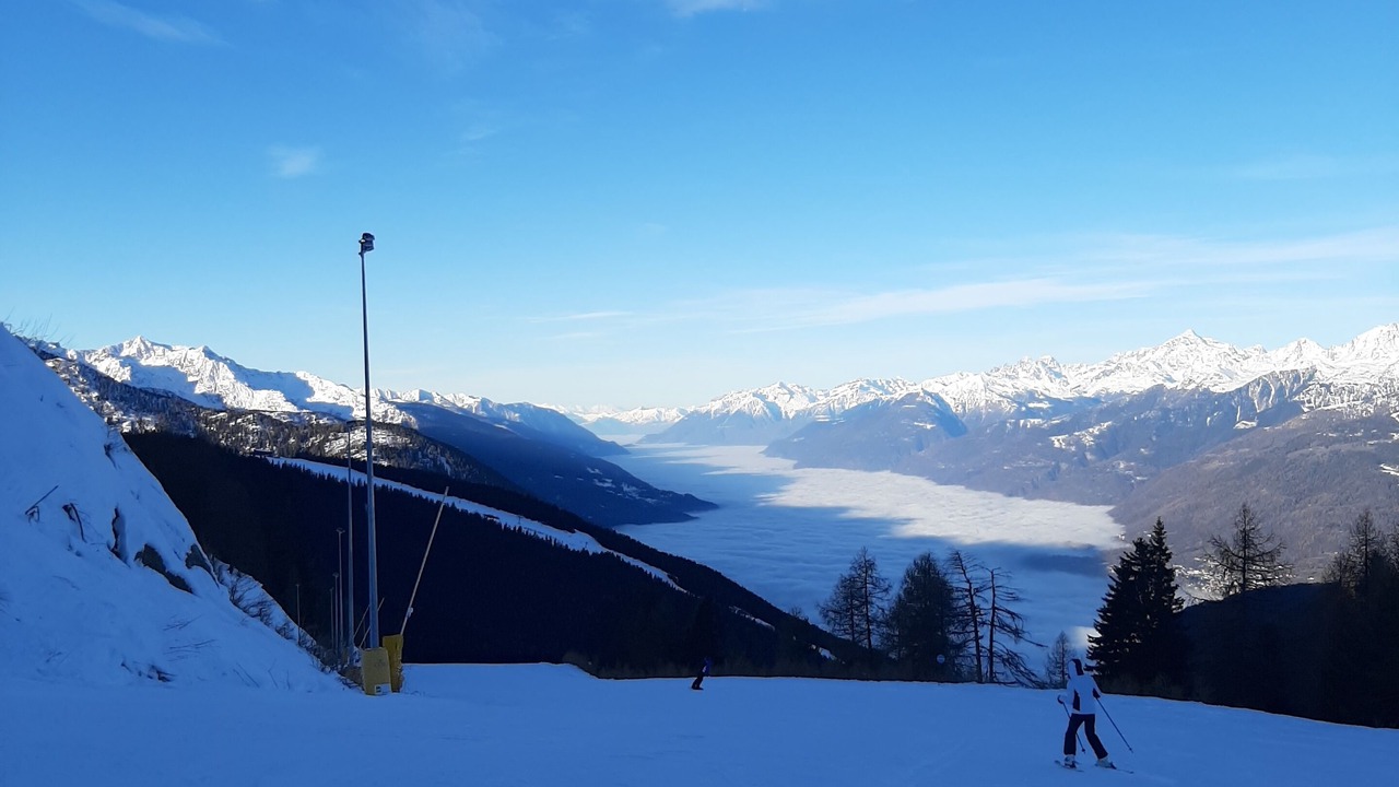 Photo of Others in Aprica