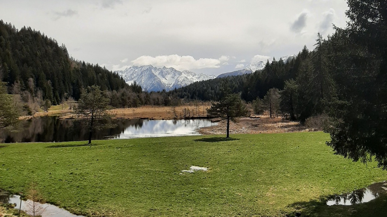 Photo of Others in Aprica