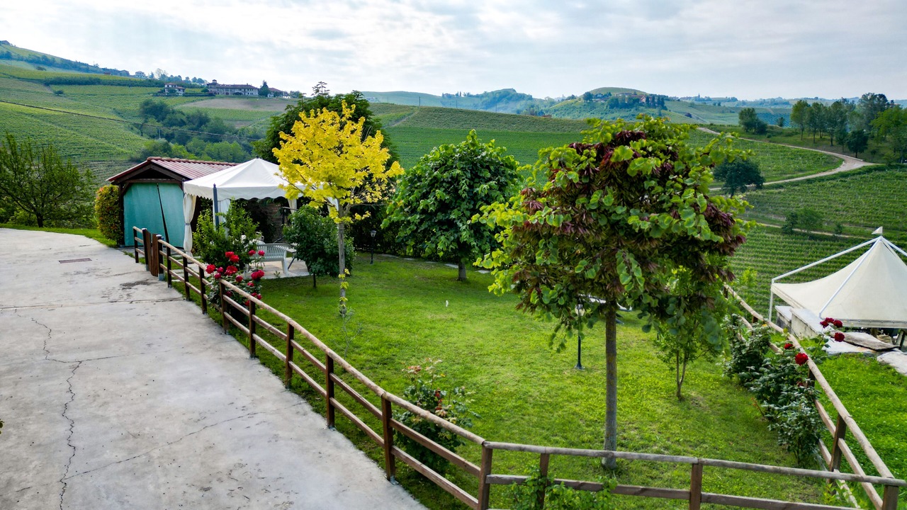 Photo of Outdoor in Diano d'Alba