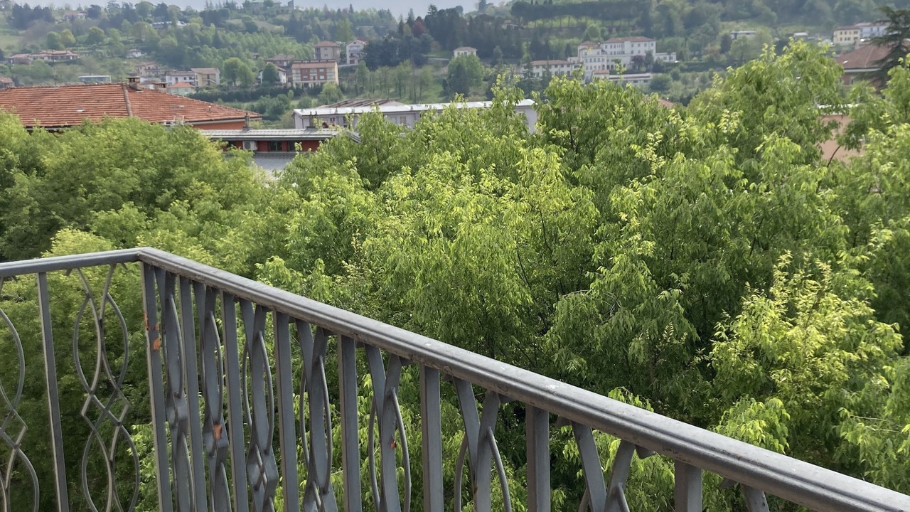 Photo of Outdoor in Alba
