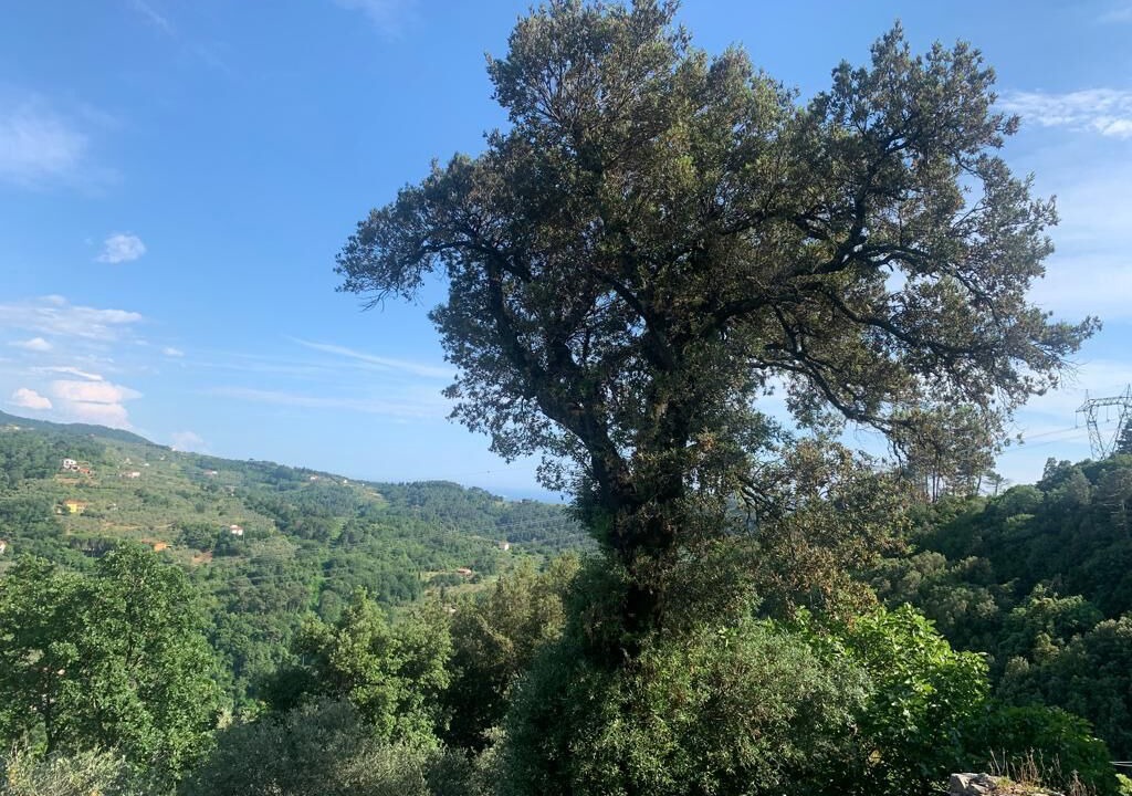 Photo of Outdoor in Fosdinovo