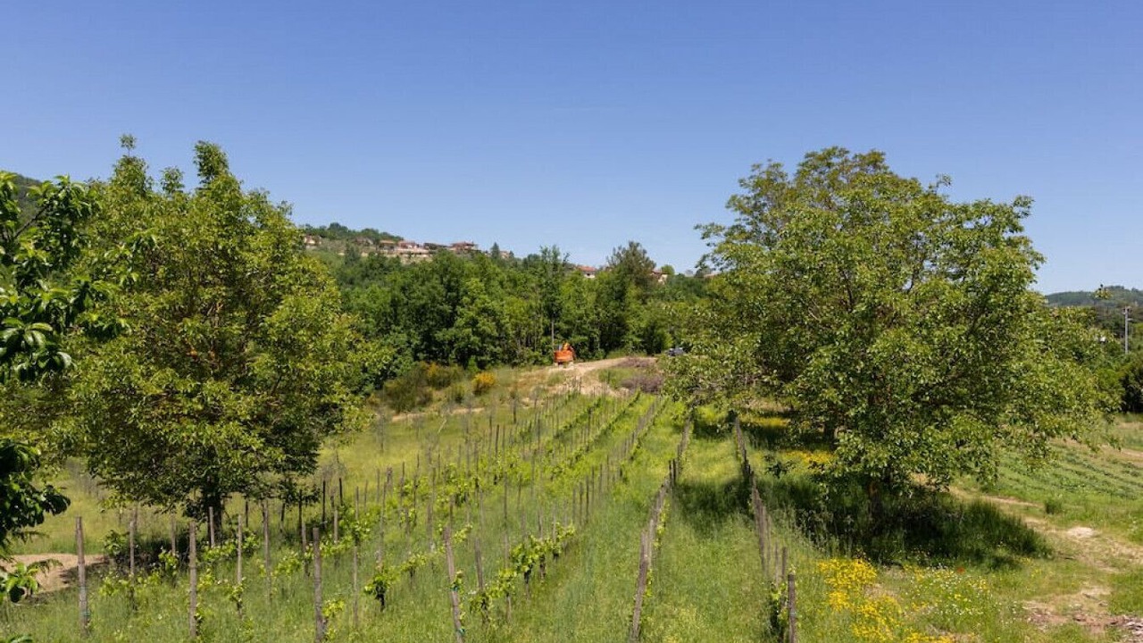 Photo of Others in Montevergine