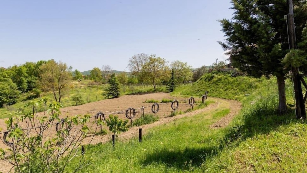 Photo of Outdoor in Montevergine