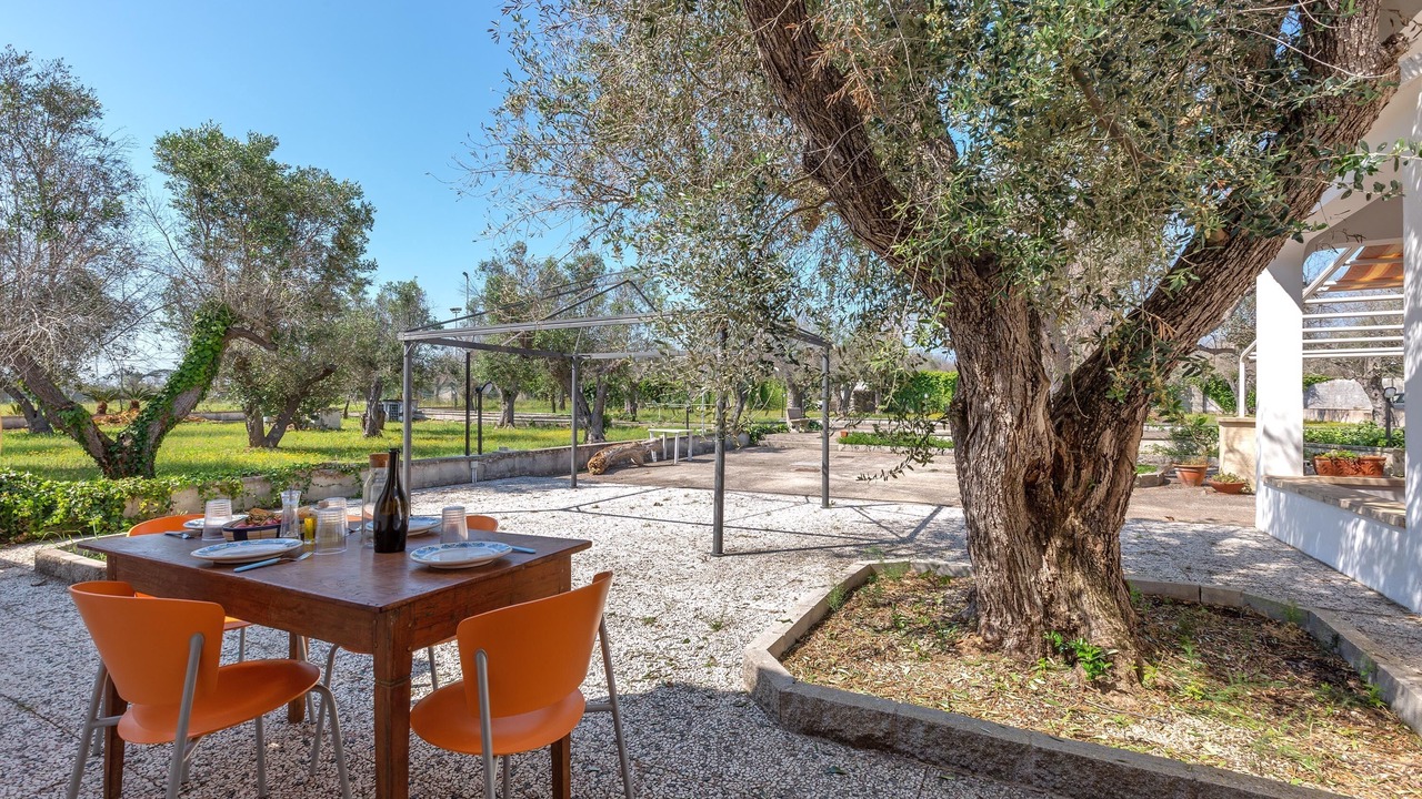 Photo of Outdoor in Torre Specchia Ruggeri