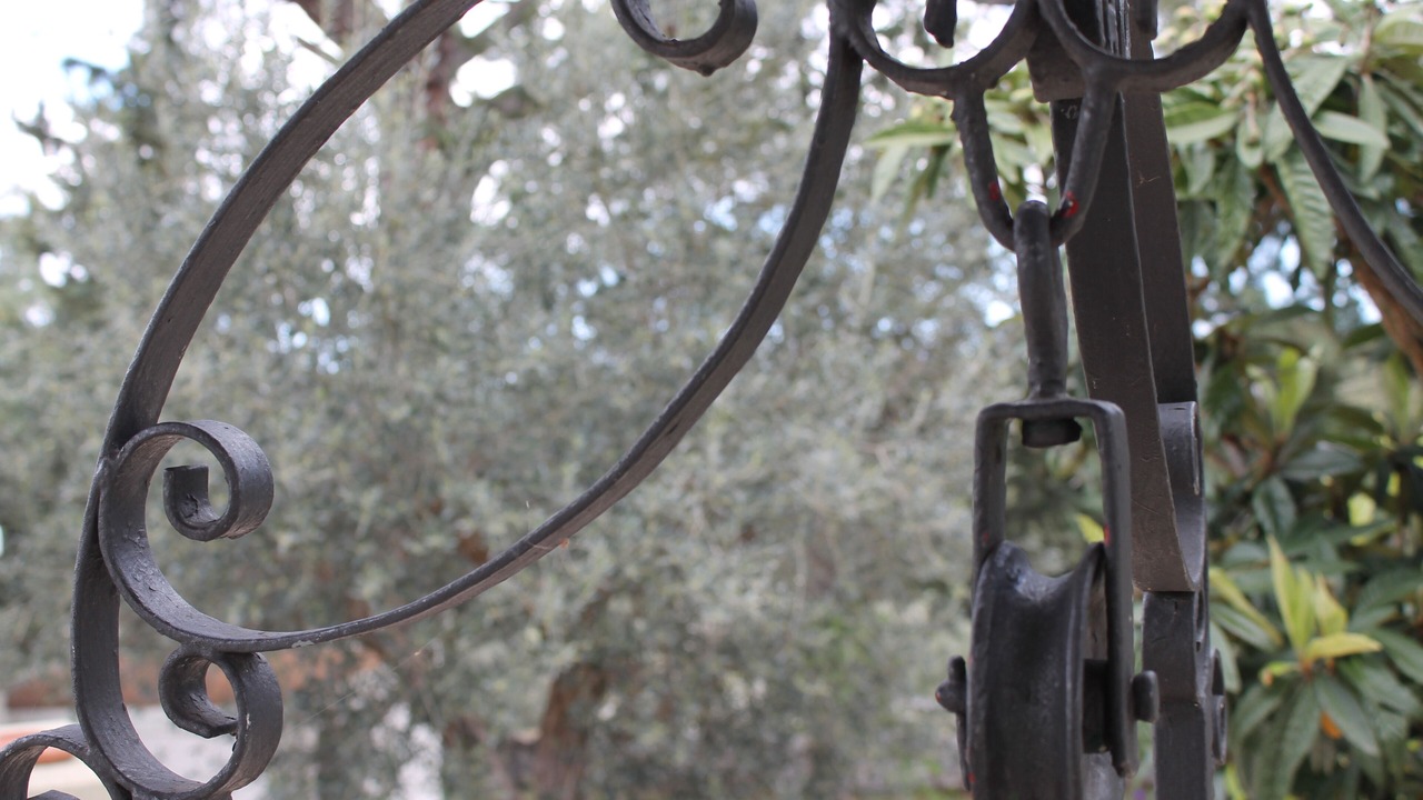 Photo of Outdoor in Impalata