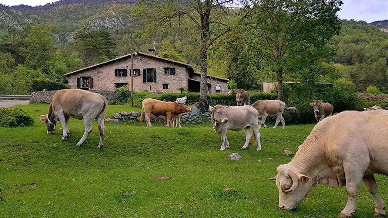 Photo of Outdoor in La Molina