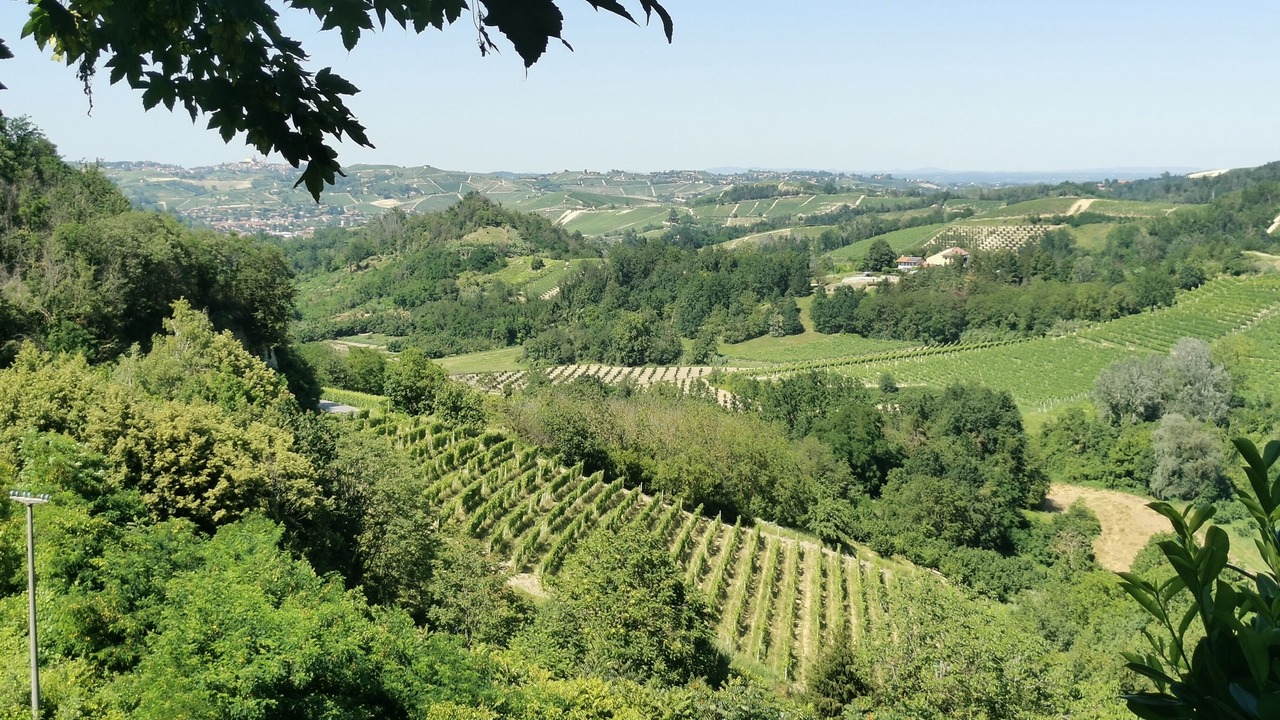 Photo of Others in Vezza d'Alba