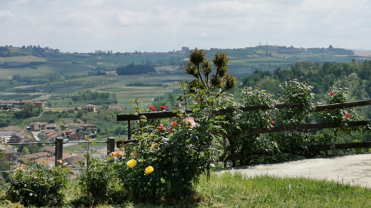Photo of Outdoor in Vezza d'Alba