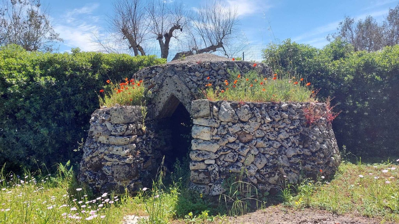 Photo of Outdoor in Monteroni di Lecce