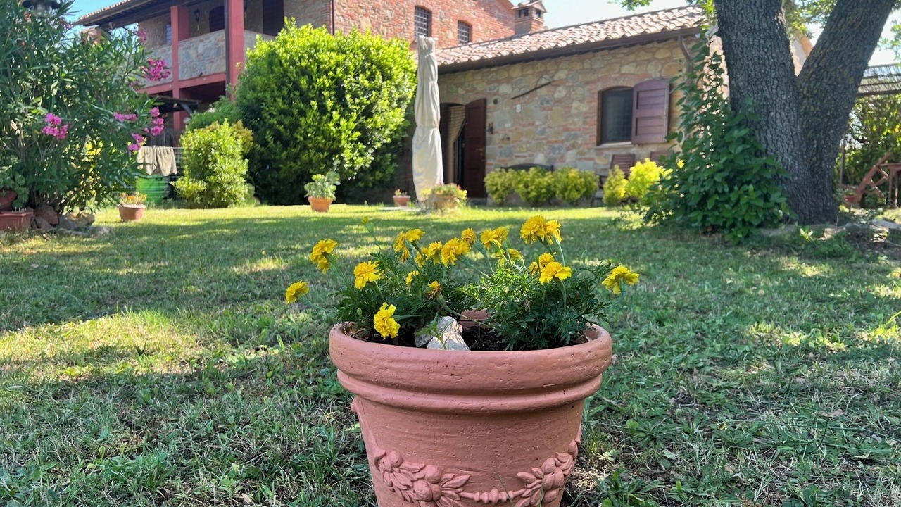 Photo of Outdoor in Castiglione del Lago