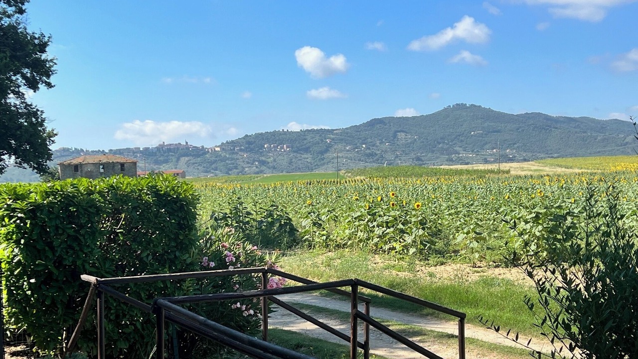 Photo of Outdoor in Castiglione del Lago