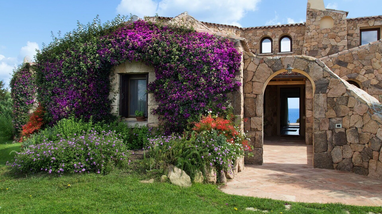 Photo of Others in Porto Rotondo