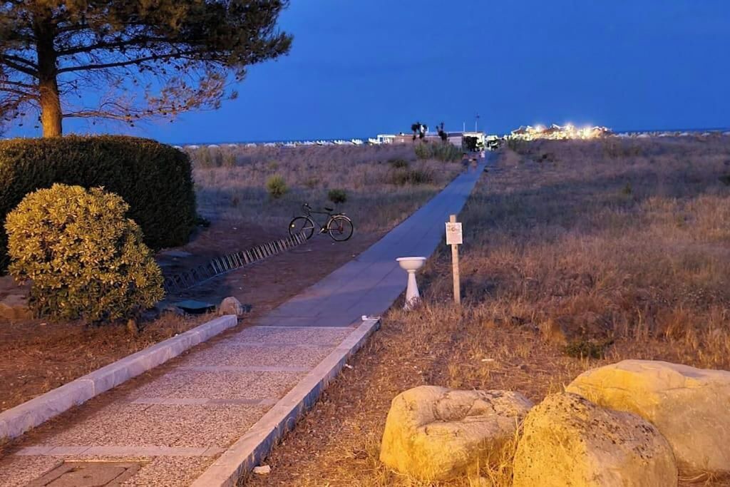 Photo of Outdoor in Nova Siri