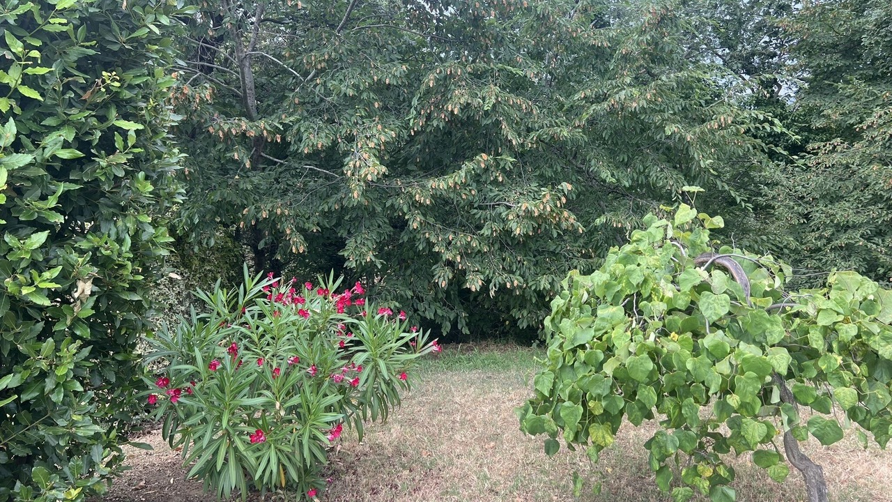 Photo of Outdoor in Foiano della Chiana