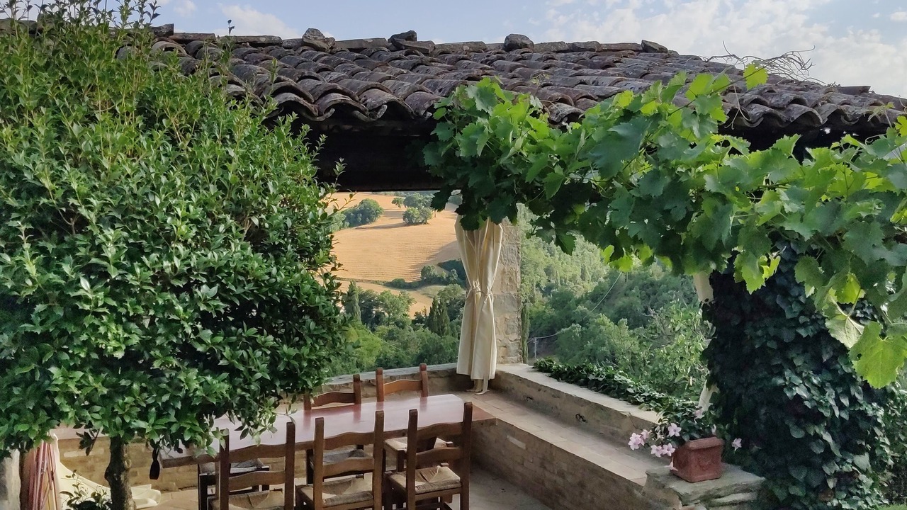 Photo of Outdoor in Carpini