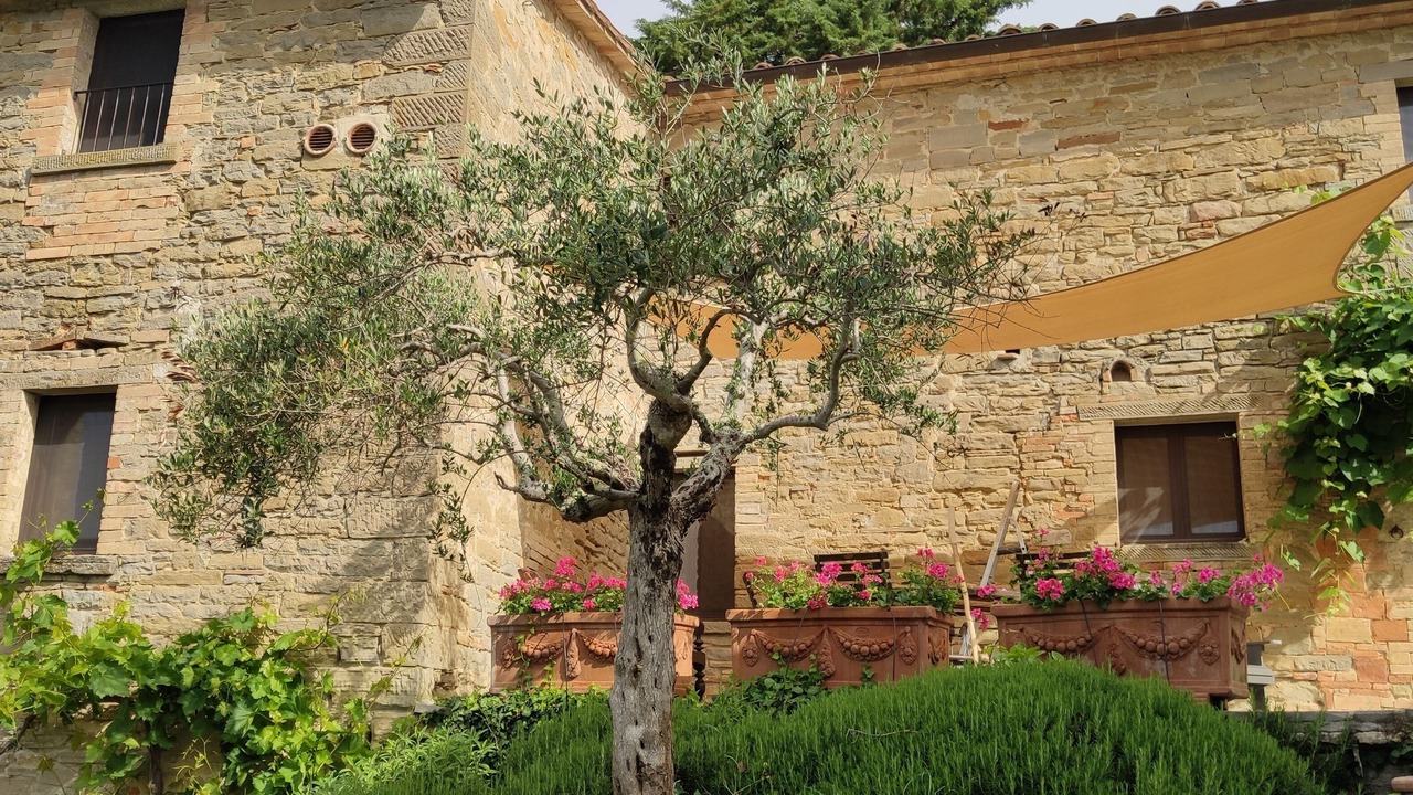 Photo of Outdoor in Carpini