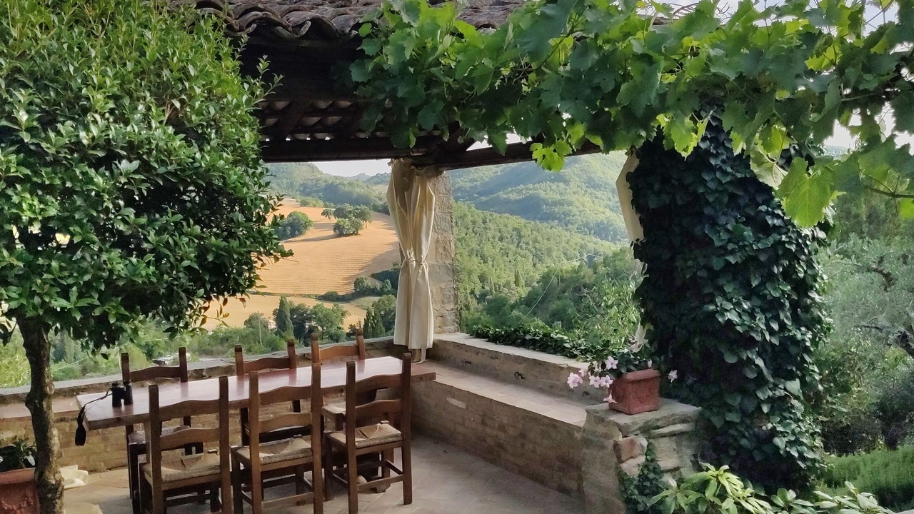 Photo of Outdoor in Carpini
