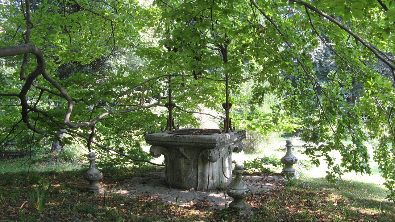 Photo of Outdoor in Erba