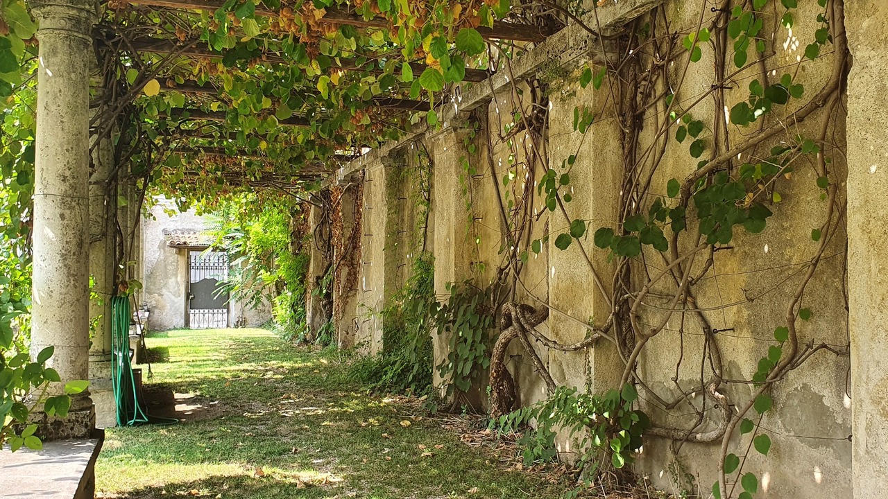 Photo of Outdoor in Erba