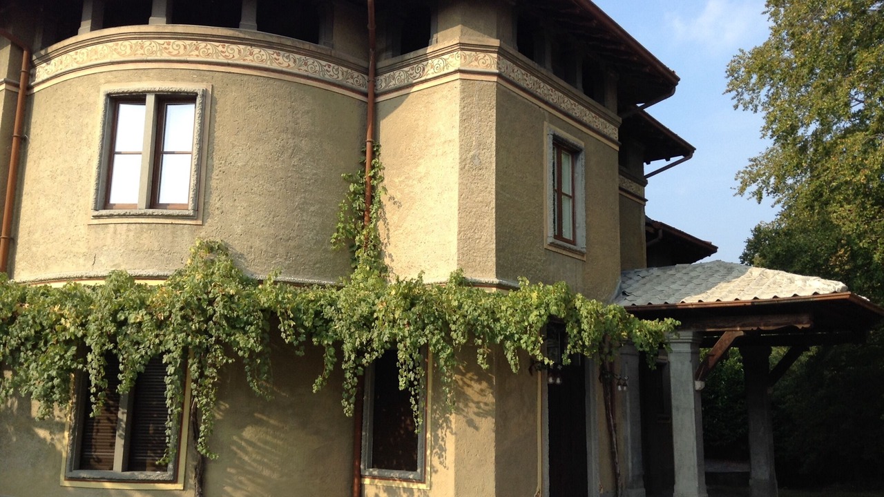 Photo of Outdoor in Erba