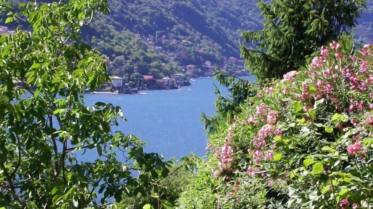 Photo of Others in Pognana Lario