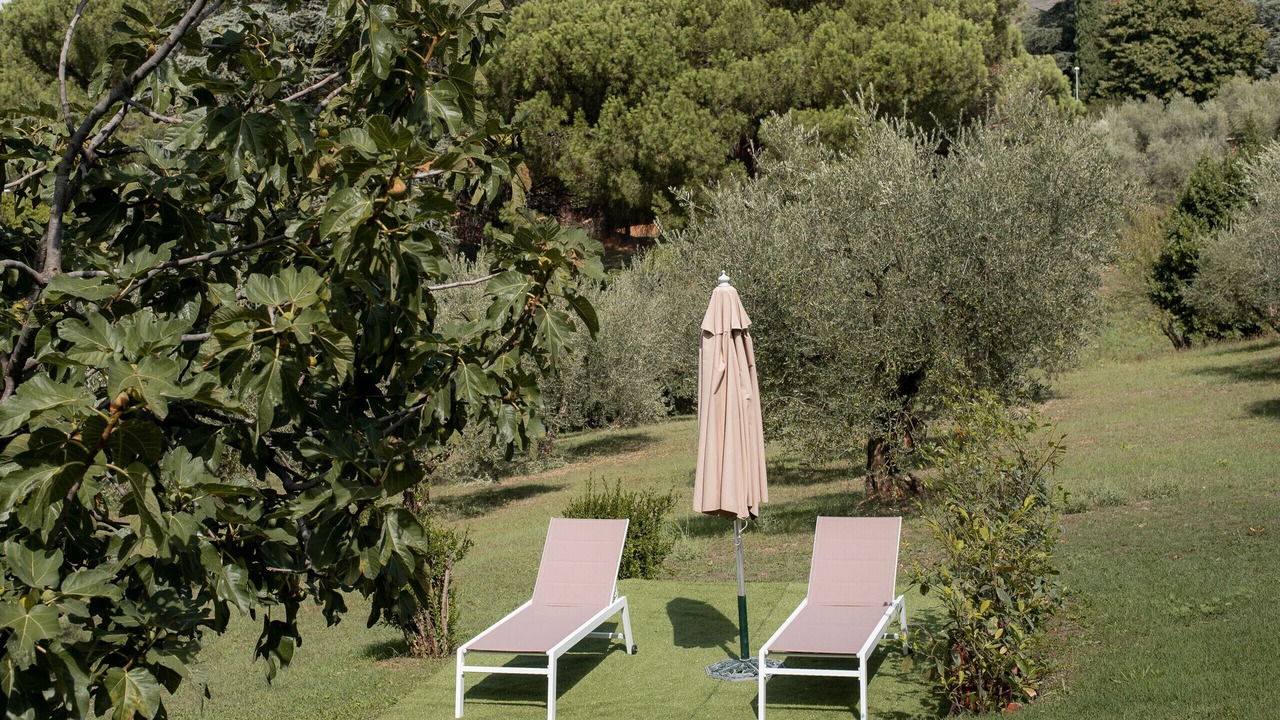 Photo of Outdoor in Rocca di Papa