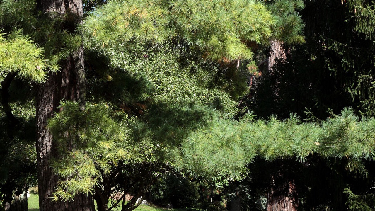 Photo of Outdoor in Olgiate Molgora