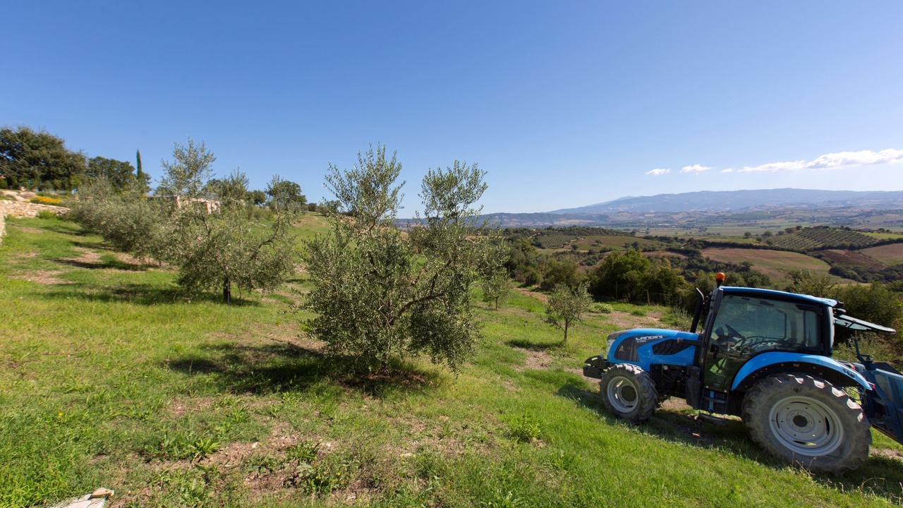 Photo of Outdoor in Campagnatico