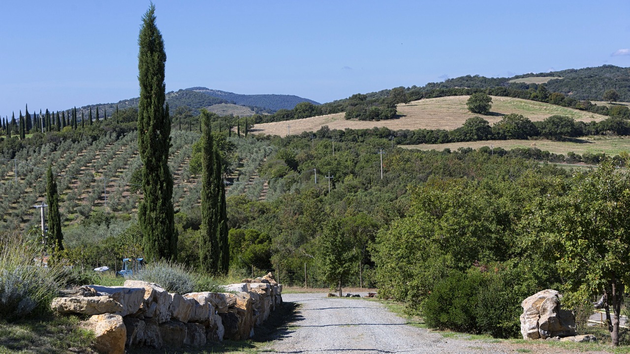 Photo of Outdoor in Campagnatico