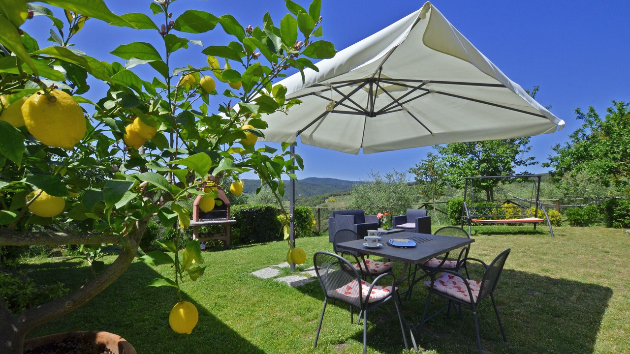 Photo of Outdoor in Murlo