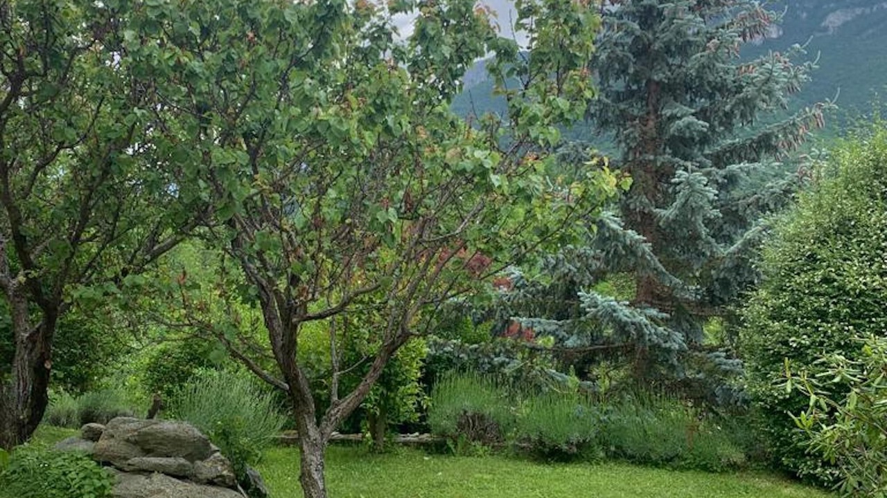 Photo of Outdoor in Ormea