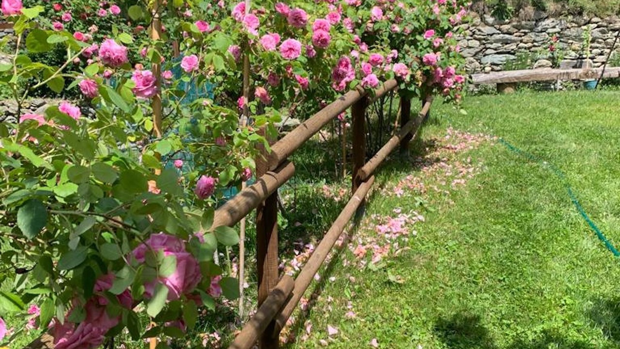 Photo of Outdoor in Ormea