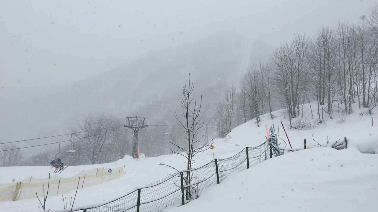 Photo of Others in Limone Piemonte