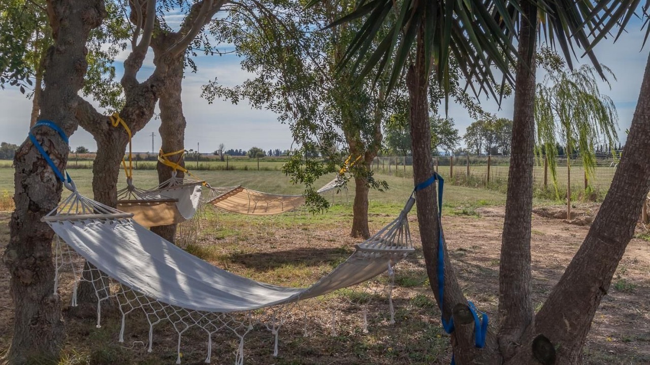 Photo of Outdoor in Fortia