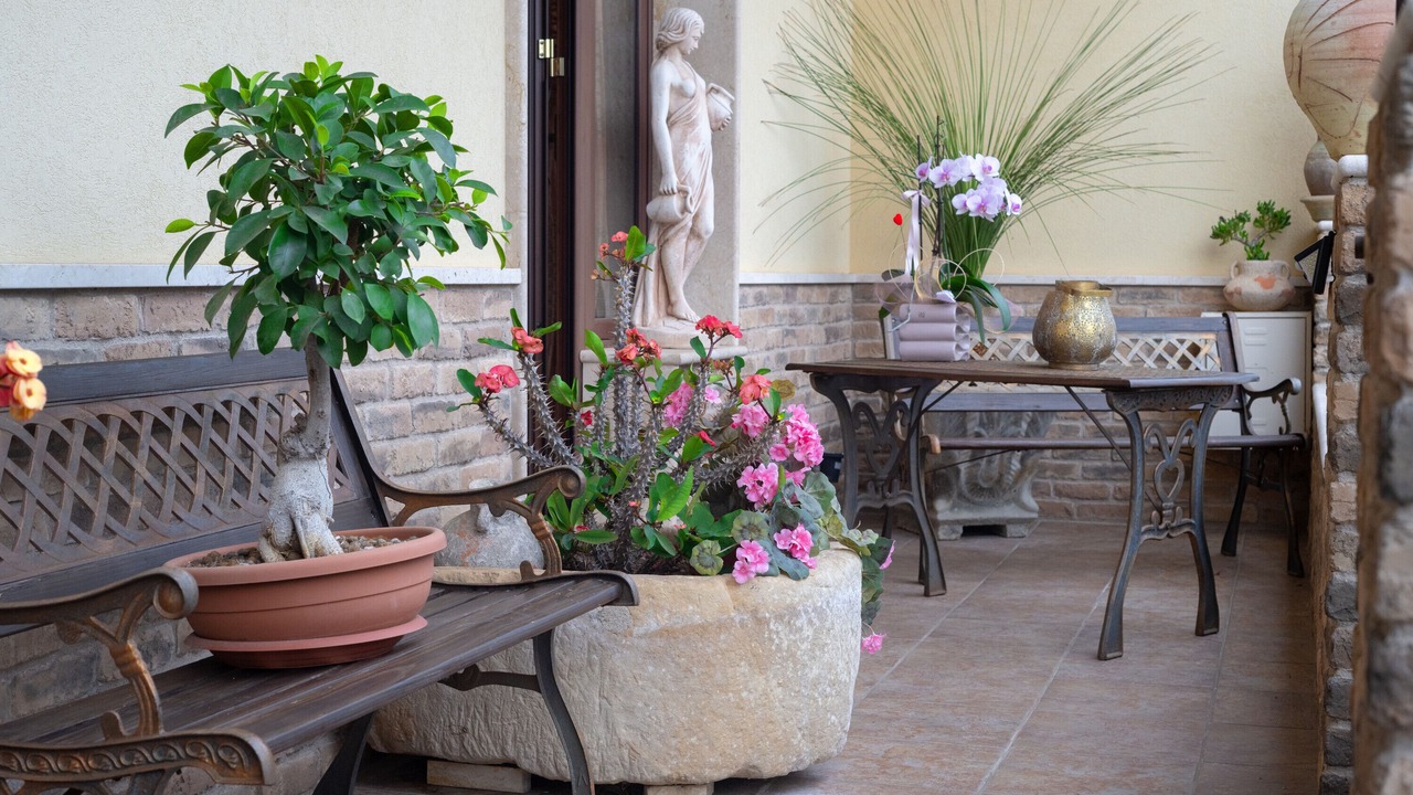 Photo of Patio Balcony in Borgagne