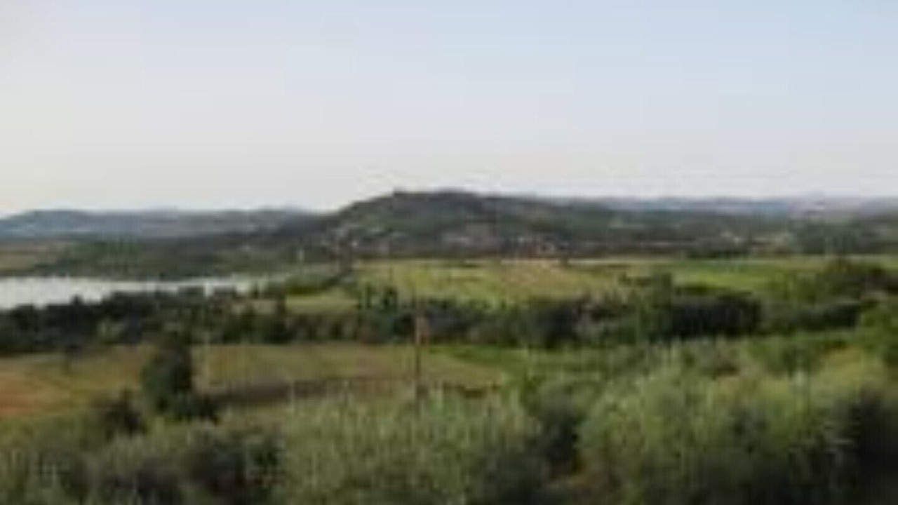 Photo of Others in Monte Petriolo