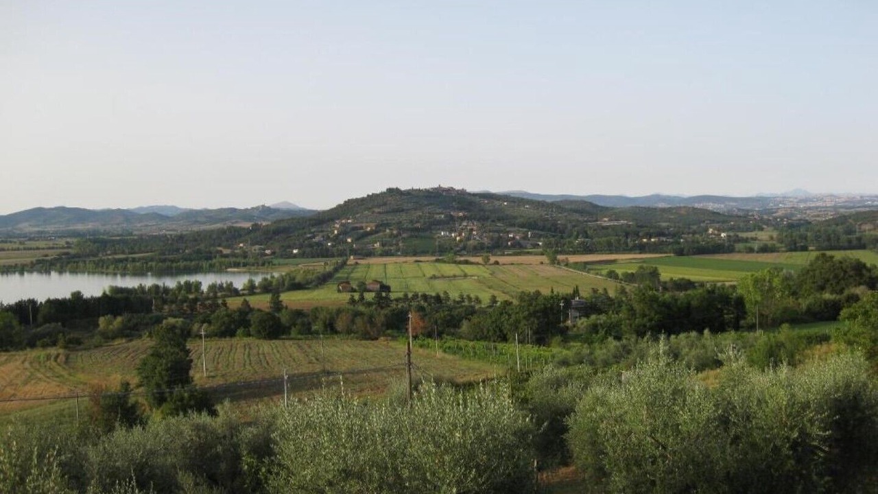 Photo of Others in Monte Petriolo