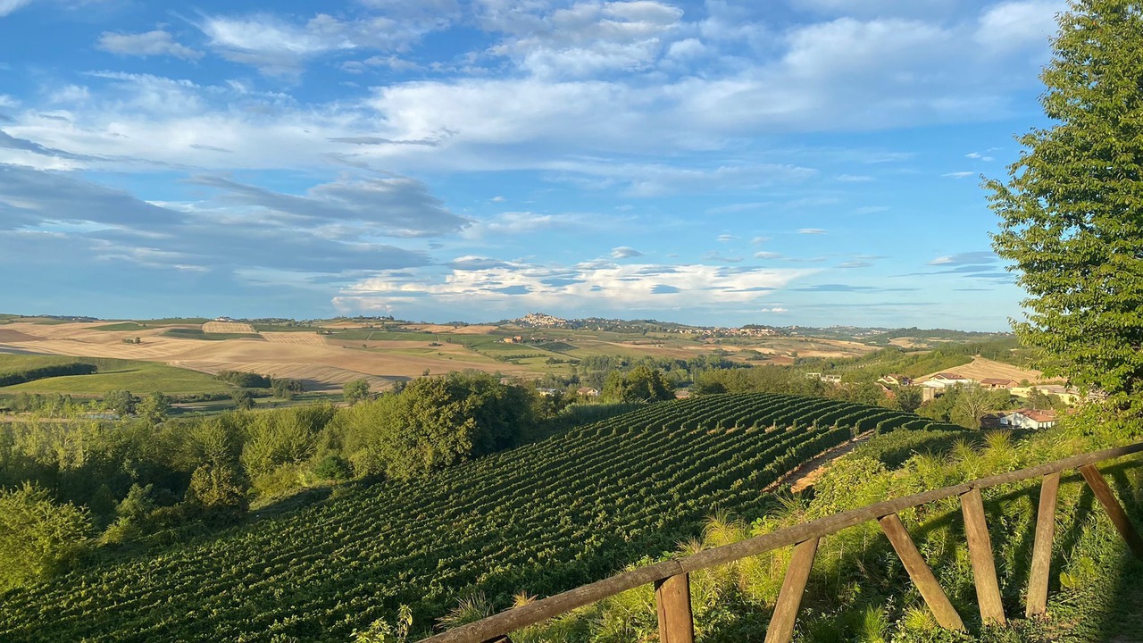 Photo of Others in Montemagno