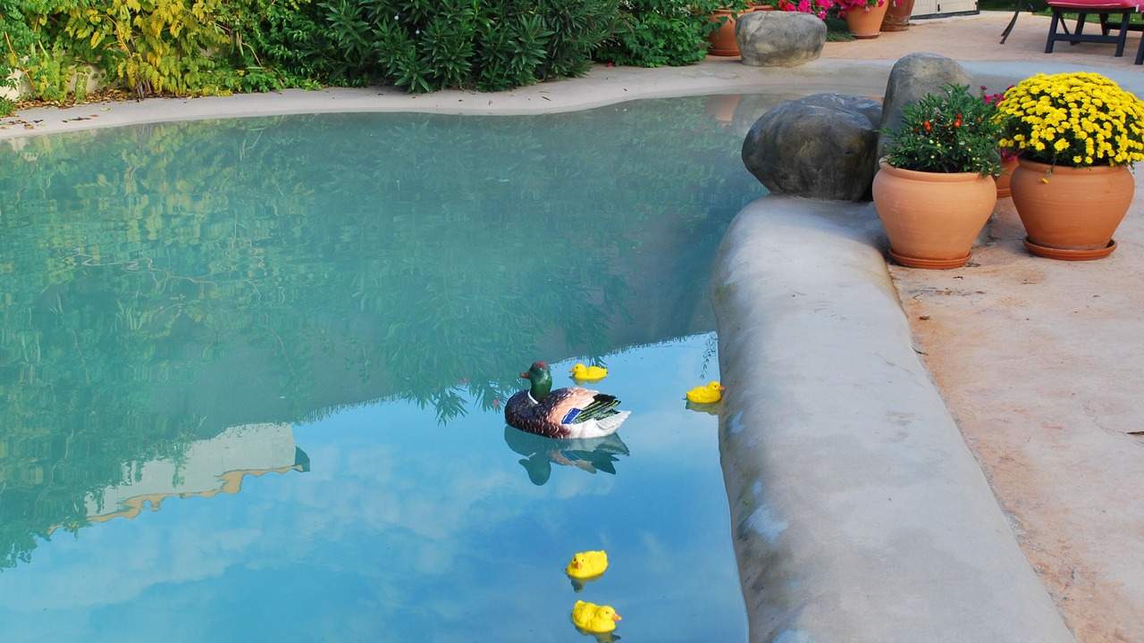 Photo of Outdoor in Escalona