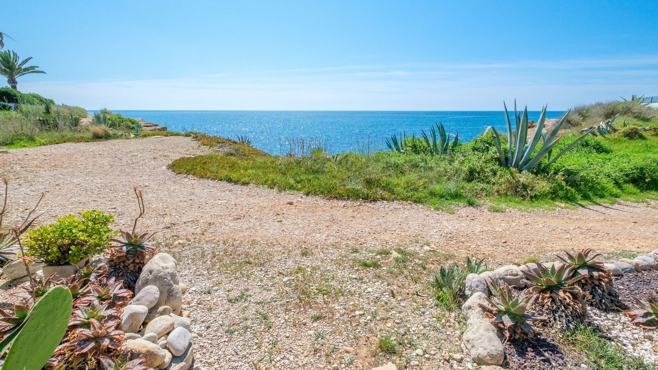 Photo of Others in Vinaros
