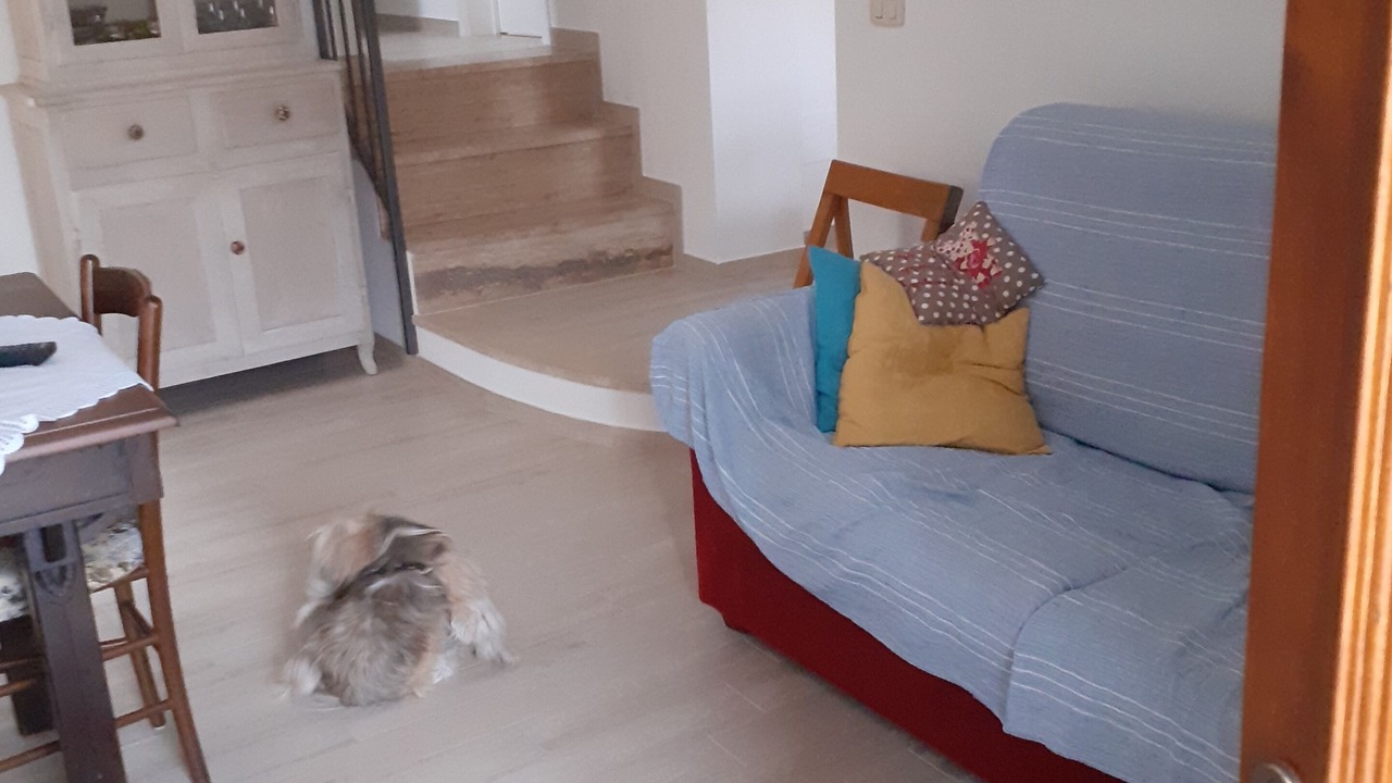 Photo of Livingroom in Campagnatico