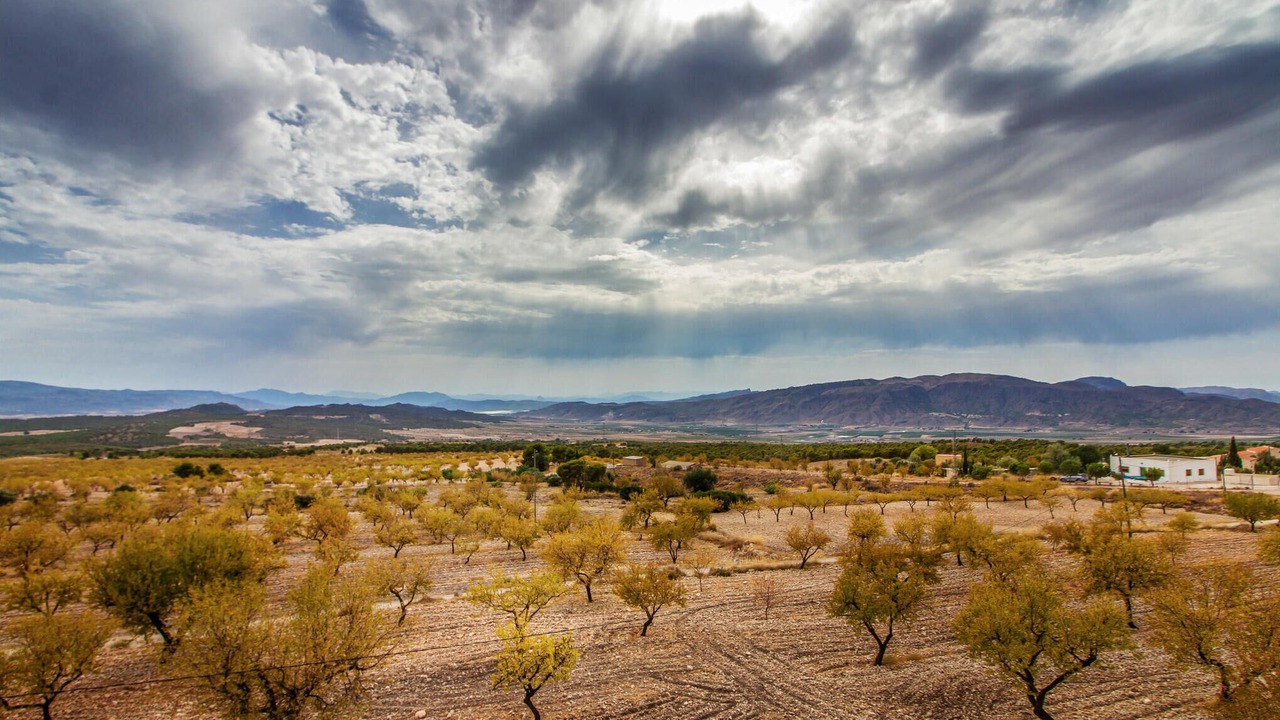 Photo of Others in Jumilla