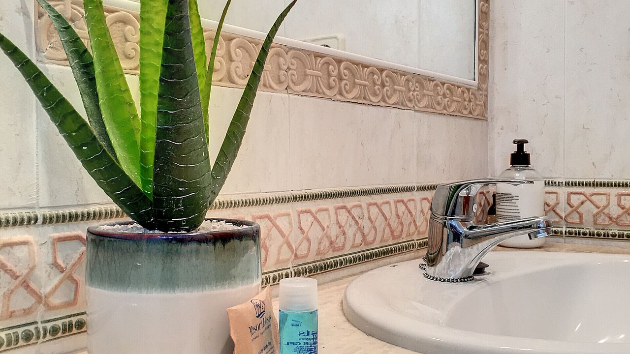 Photo of Bathroom in Cala Reona