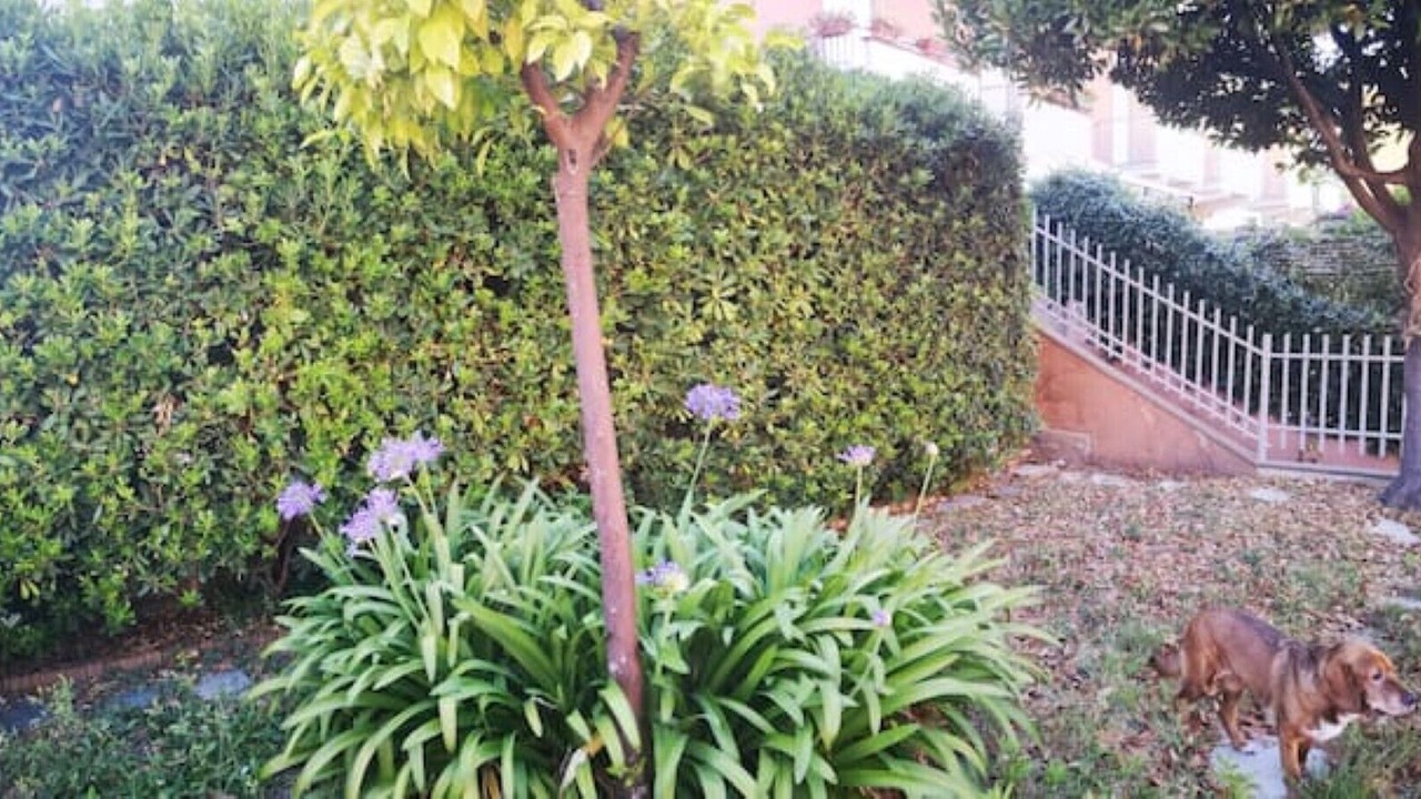Photo of Outdoor in Rostio