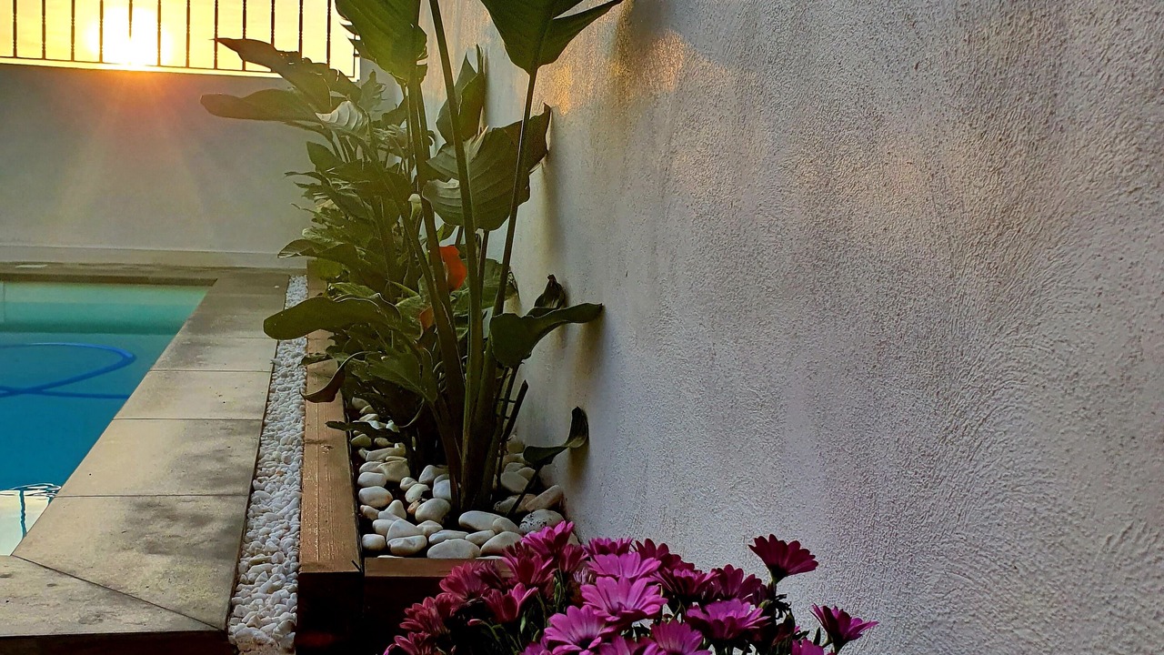 Photo of Outdoor in Amposta