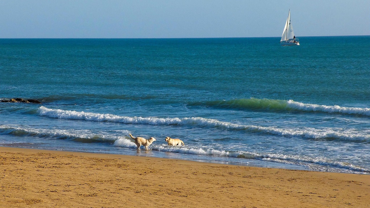 Photo of Others in Donnafugata