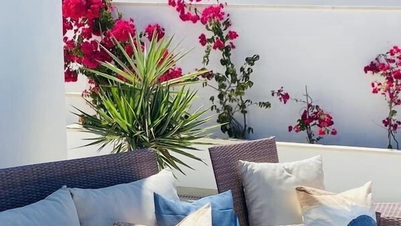 Photo of Patio Balcony in Caserio Los Tarquinos