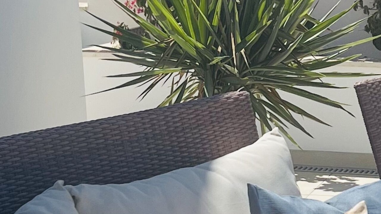 Photo of Patio Balcony in Caserio Los Tarquinos